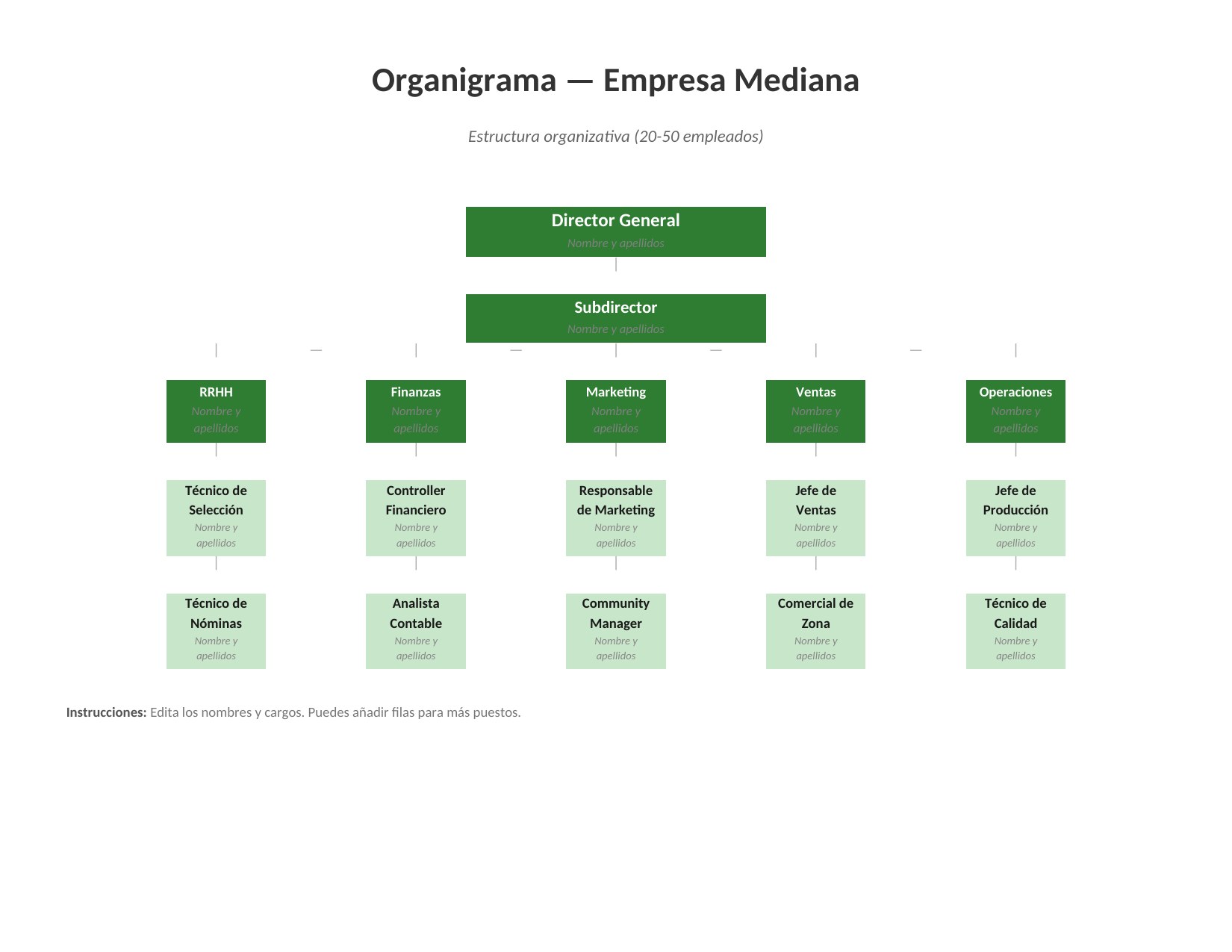 Plantilla Organigrama de Empresa Mediana