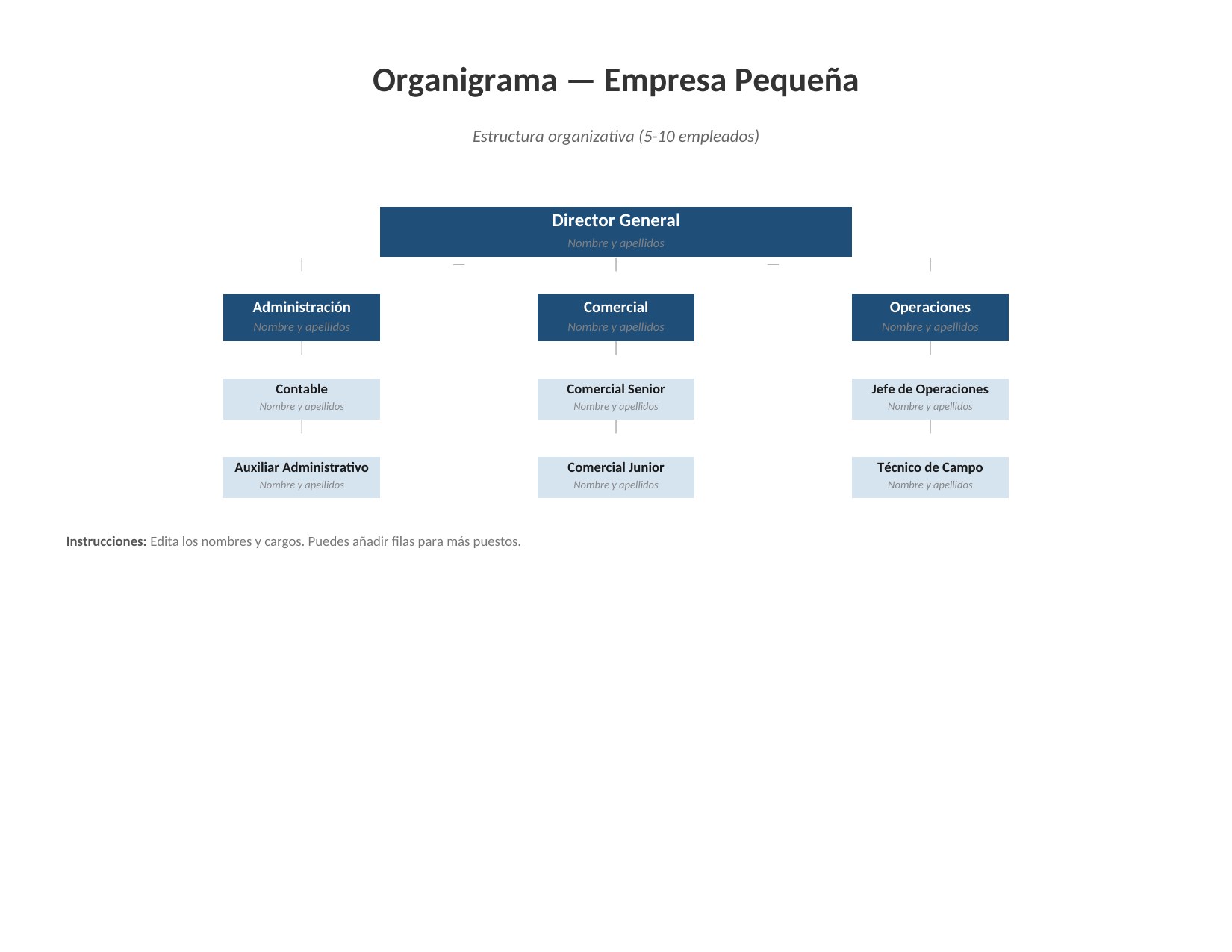 Plantilla Organigrama de Empresa Pequeña
