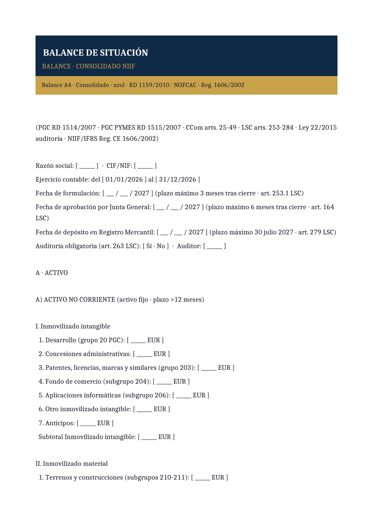 Plantilla Balance de situación consolidado (grupo · NIIF)