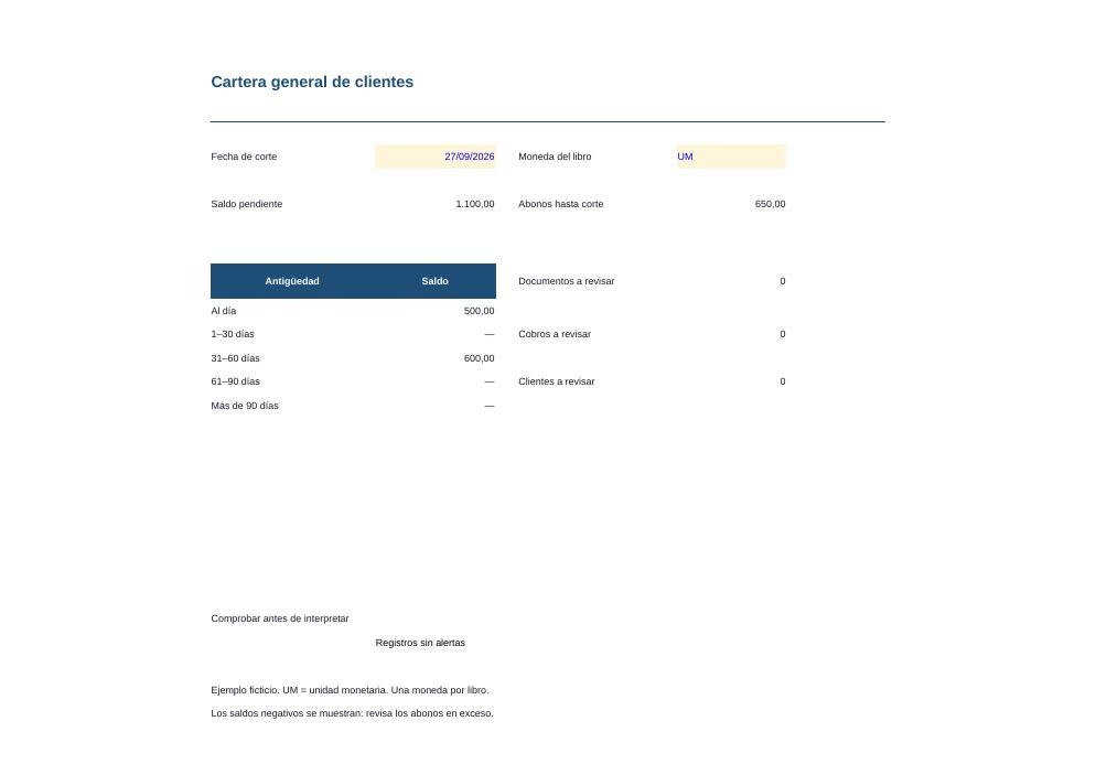 Cartera general de clientes: vista previa del resumen